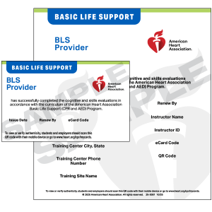 2025 BLS Provider eCard